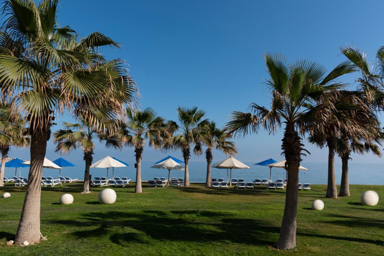 فندق أوشن بلو السخنة عين السخنة المظهر الخارجي الصورة Palm trees in Limassol